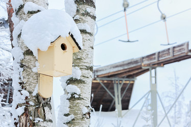 Similar image 16925672