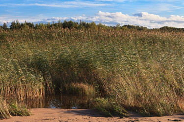 Similar image 16925694