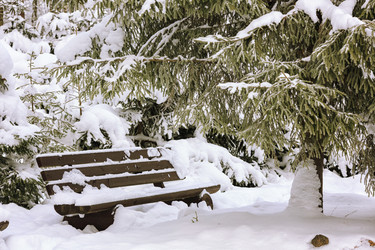 Similar image 16925695