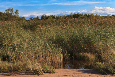 Similar image 16925698