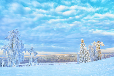 Similar image 16925724