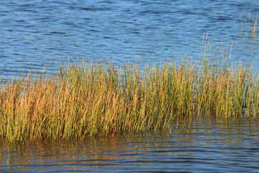 Similar image 16925727