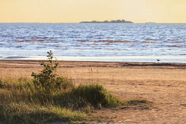 Similar image 16925679