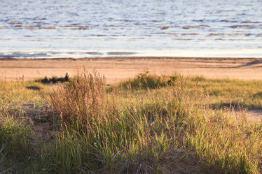 Similar image 16925682