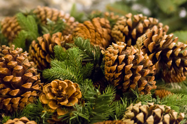 Similar image 16953240