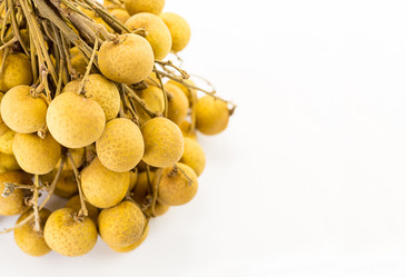 Similar image 16980401