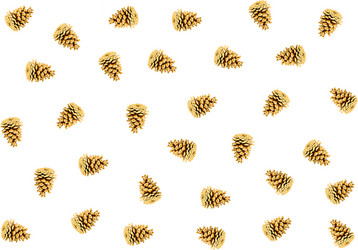 Similar image 16946714