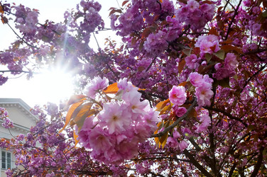 Similar image 16629788