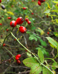 Similar image 16629836