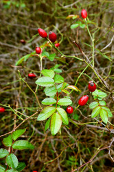 Similar image 16629851