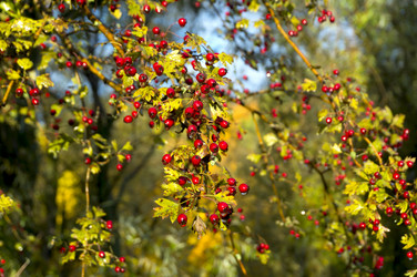 Similar image 16630962