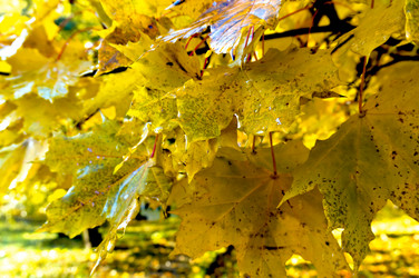 Similar image 16630963