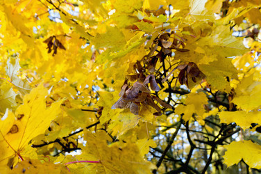 Similar image 16630964