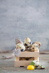 Similar image 16924756