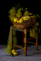 Similar image 17247879