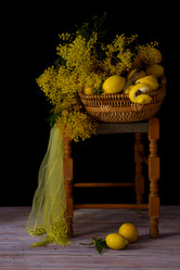 Similar image 17247917