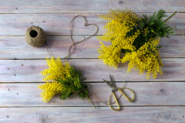 Similar image 17247896