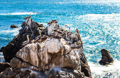 Similar image 16926938