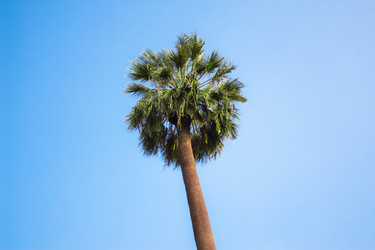 Similar image 16926947