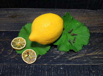 Similar image 16924106