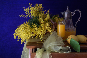 Similar image 17247897