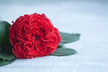 Similar image 16924832