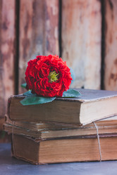 Similar image 16924842