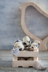 Similar image 16924853