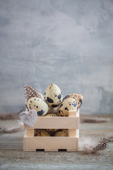 Similar image 16924856