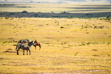 Similar image 17544005