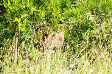 Similar image 17544012