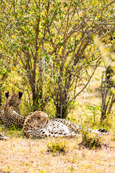 Similar image 17544023