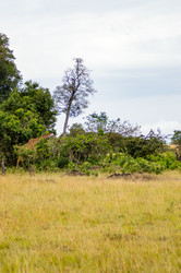 Similar image 17544186