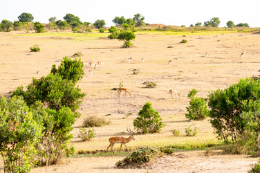 Similar image 17544208