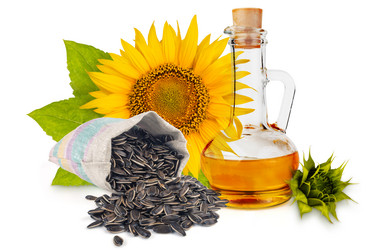 Similar image 16926746