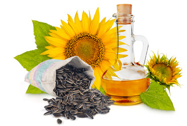 Similar image 16926749