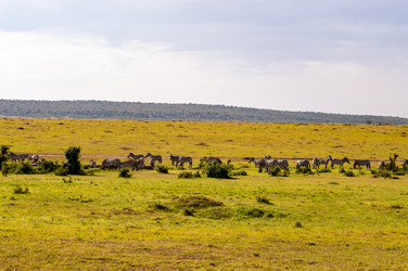 Similar image 17544016