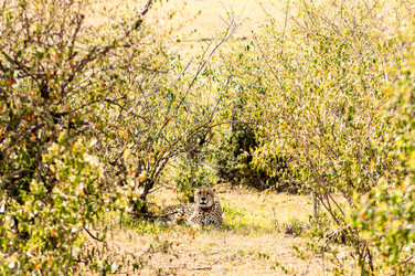 Similar image 17544024