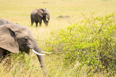 Similar image 17544032