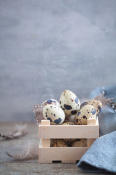 Similar image 16924795