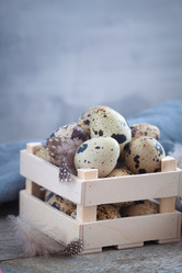 Similar image 16924796