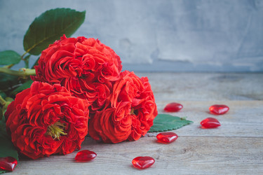 Similar image 16924799