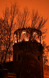 Similar image 17249068