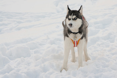 Similar image 17298546