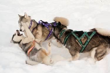 Similar image 17299229