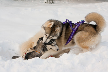 Similar image 17299407