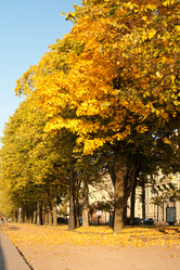 Similar image 16925737