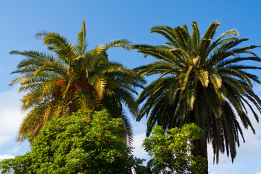 Similar image 17296176