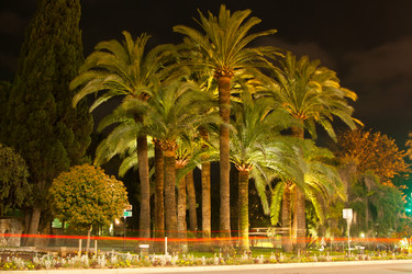 Similar image 17296645