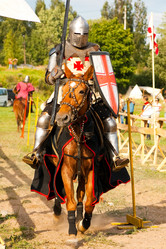 Similar image 17299464